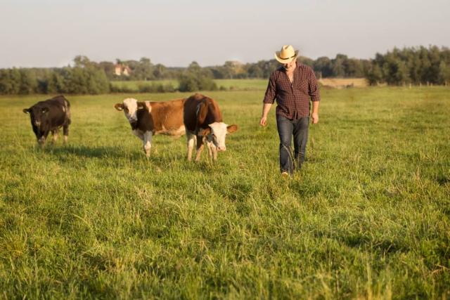 Complete Large Animal Health Products