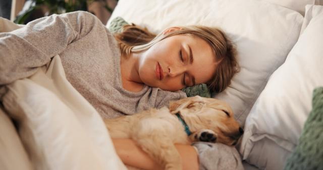 Small Animal Sick Care